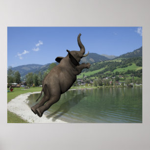 Belly Flop Elephant Poster