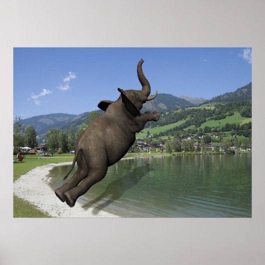 Belly Flop Elephant Poster (Voorkant)