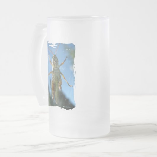 Belly tot aan de balk matglas bierpul (Voorkant links)