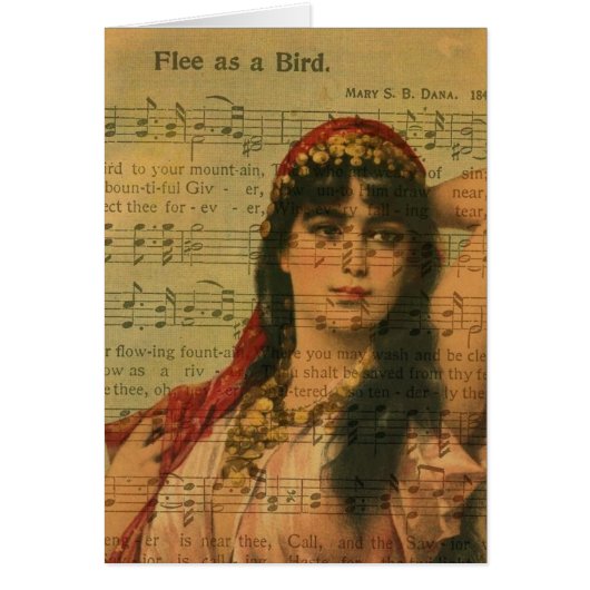 Bellydancer Collage Flee als vogelmuziek (Voorkant)