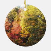 Belmont gladde rots over New Hampshire Keramisch Ornament (Achterkant)