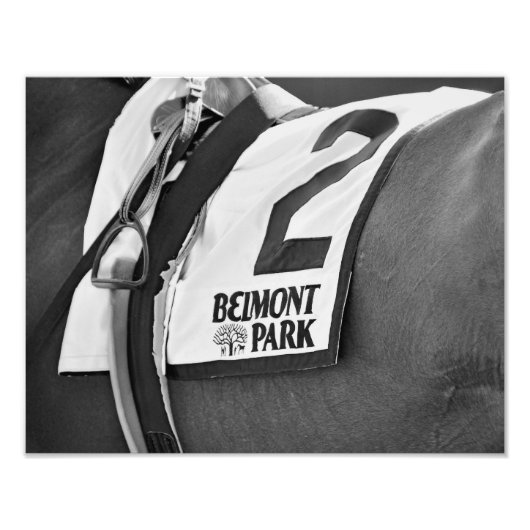 Belmont Park sinds 1905 Foto Afdruk (Voorkant)