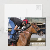 Belmont Park Training Track (1) Briefkaart (Voorkant / Achterkant)