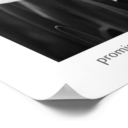 belofte van lente daffodil jonquil zwart - wit poster (Hoek)