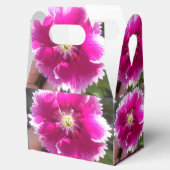 Beloften Bedankdoosjes (Geopend)