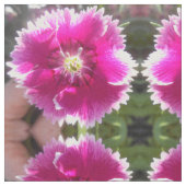 Beloften Stof (Close Up)