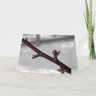 Beloften van het voorjaar kaart