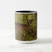 Beloved Buck. Mok (Midden)