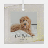 Beloved Pet Loss Memorial Keepomwille Glass Orname Glas Ornament (Voorkant)