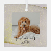 Beloved Pet Loss Memorial Keepomwille Glass Orname Glas Ornament (Achterkant)