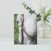 Bel's Starlet Post Card Briefkaart (Staand voorkant)