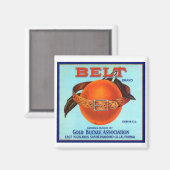 Belt Brand California Sinaasappels Magneet (Voorkant / Achterkant)