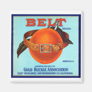 Belt Brand California Sinaasappels Magneet