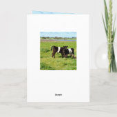 Belted Galloway Baby Calves, Birthday Kaart (Achterkant)