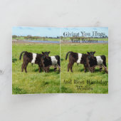 Belted Galloway Baby Calves, Birthday Kaart (Binnen)