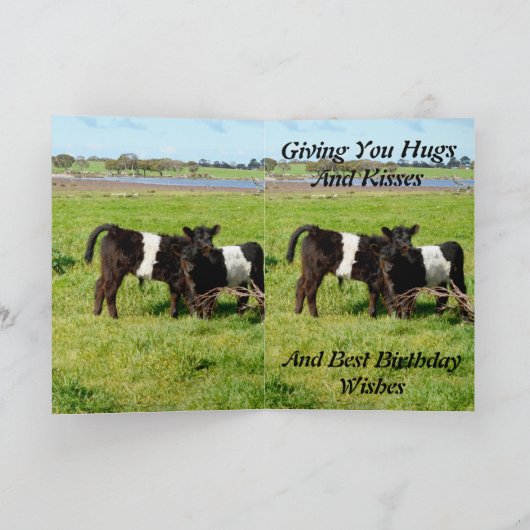 Belted Galloway Baby Calves, Birthday Kaart (Binnen)