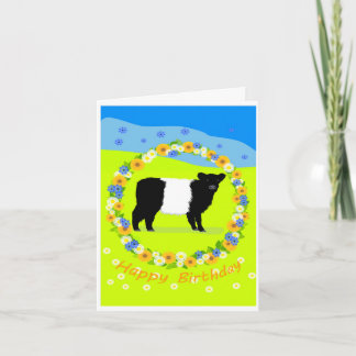 Belted Galloway calf birthday card Bedankkaart
