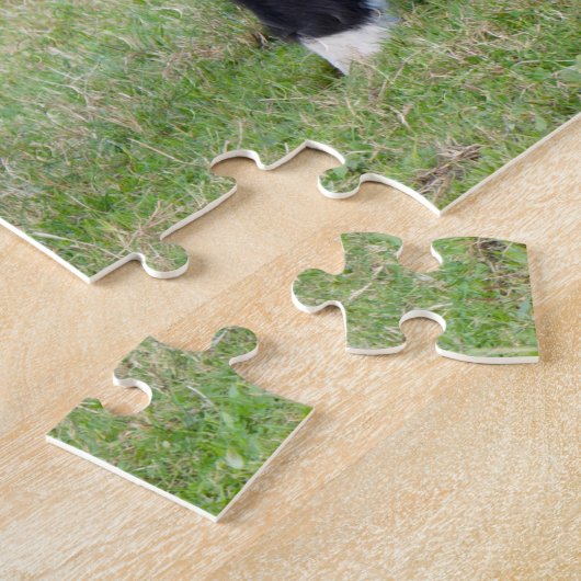 Belted Galloway Calf Jigzaag puzzle Legpuzzel (Zijkant)