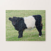 Belted Galloway Calf Jigzaag puzzle Legpuzzel (Horizontaal)