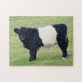 Belted Galloway Calf Jigzaag puzzle Legpuzzel