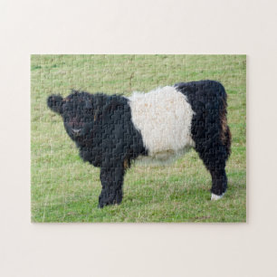 Belted Galloway Calf Jigzaag puzzle Legpuzzel