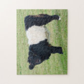 Belted Galloway Calf Jigzaag puzzle Legpuzzel (Verticaal)