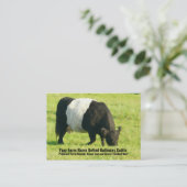 Belted Galloway Cattle Boerderij of Ranch Supply Visitekaartje (Staand voorkant)