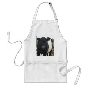 Belted Galloway Cow Eating Hay Standaard Schort