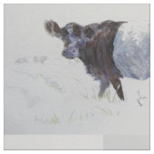 Belted Galloway Cow Stof (Close Up)