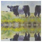 Belted Galloway Cow Stof (Close Up)