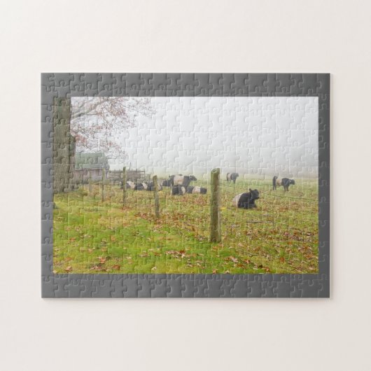 Belted Galloway Cows in Rockport Maine Legpuzzel (Horizontaal)