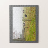 Belted Galloway Cows in Rockport Maine Legpuzzel (Verticaal)