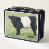 Belted Galloway Kalf Metalen Lunchbox (Achterkant)