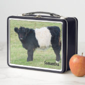 Belted Galloway Kalf Metalen Lunchbox (In situ)