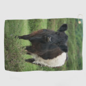 Belted Galloway Koe Golfhanddoek (Horizontaal)
