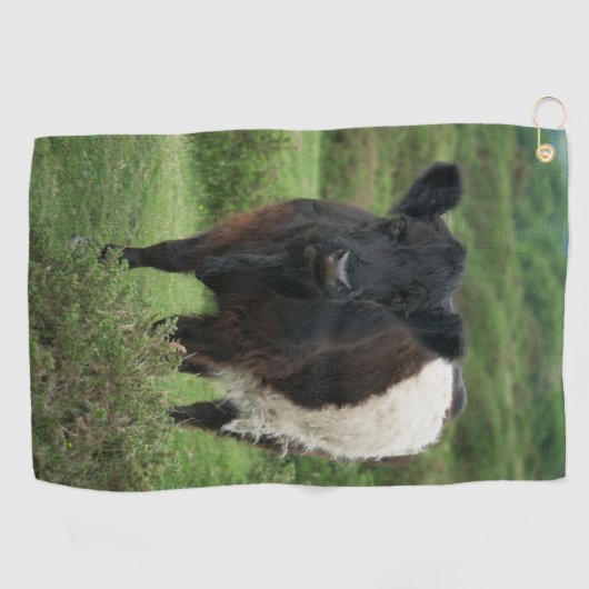 Belted Galloway Koe Golfhanddoek (Horizontaal)