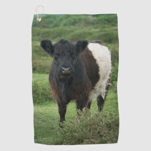 Belted Galloway Koe Golfhanddoek (Voorkant)
