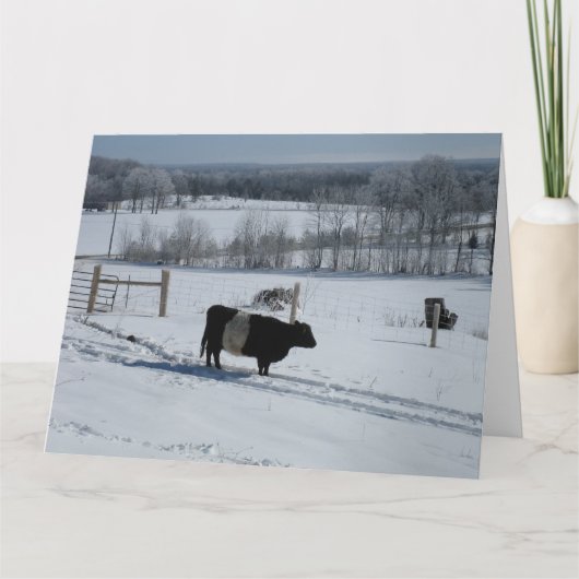 Belted Galloway Koe in a Snowy Landscape Kaart (Voorkant)