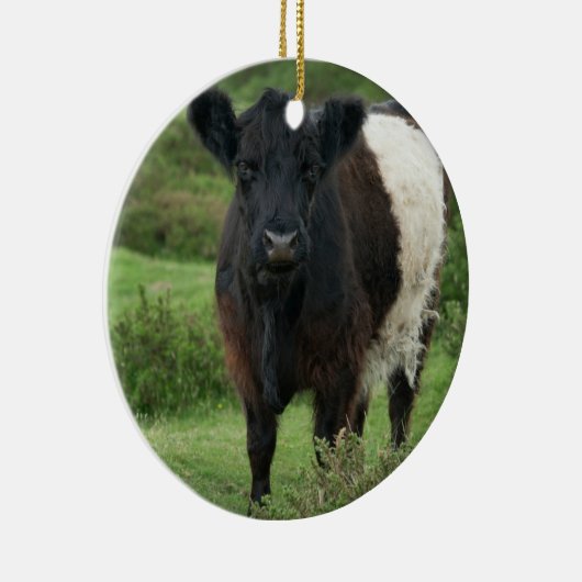 Belted Galloway Koe Keramisch Ornament (Rechts)