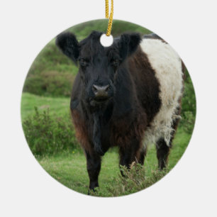 Belted Galloway Koe Keramisch Ornament