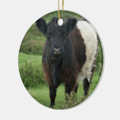 Belted Galloway Koe Keramisch Ornament (Links)