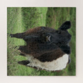 Belted Galloway Koe Legpuzzel (Horizontaal)
