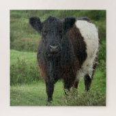 Belted Galloway Koe Legpuzzel (Verticaal)