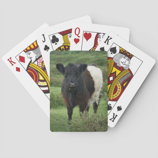 Belted Galloway Koe Pokerkaarten (Achterkant)