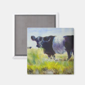 Belted Galloway Koe schilderij Magneet (Voorkant / Achterkant)