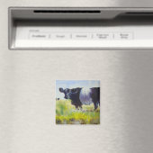 Belted Galloway Koe schilderij Magneet (Insitu (Vaatwasser))