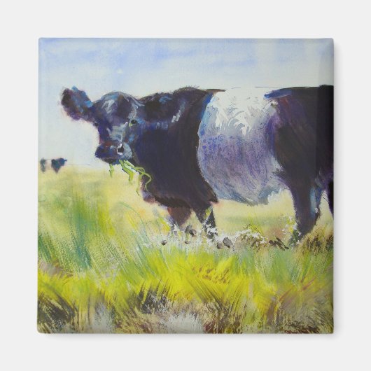 Belted Galloway Koe schilderij Magneet (Voorkant)