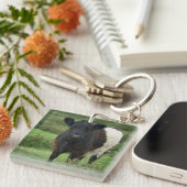 Belted Galloway Koe Sleutelhanger (Voorkant Rechts)