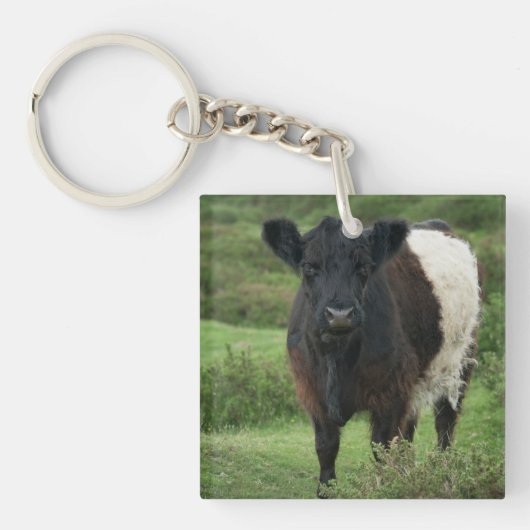 Belted Galloway Koe Sleutelhanger (voorkant)