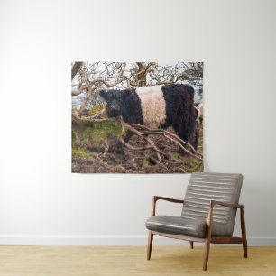 Belted Galloway Koe Standing By Fallen Tree Wandkleed
